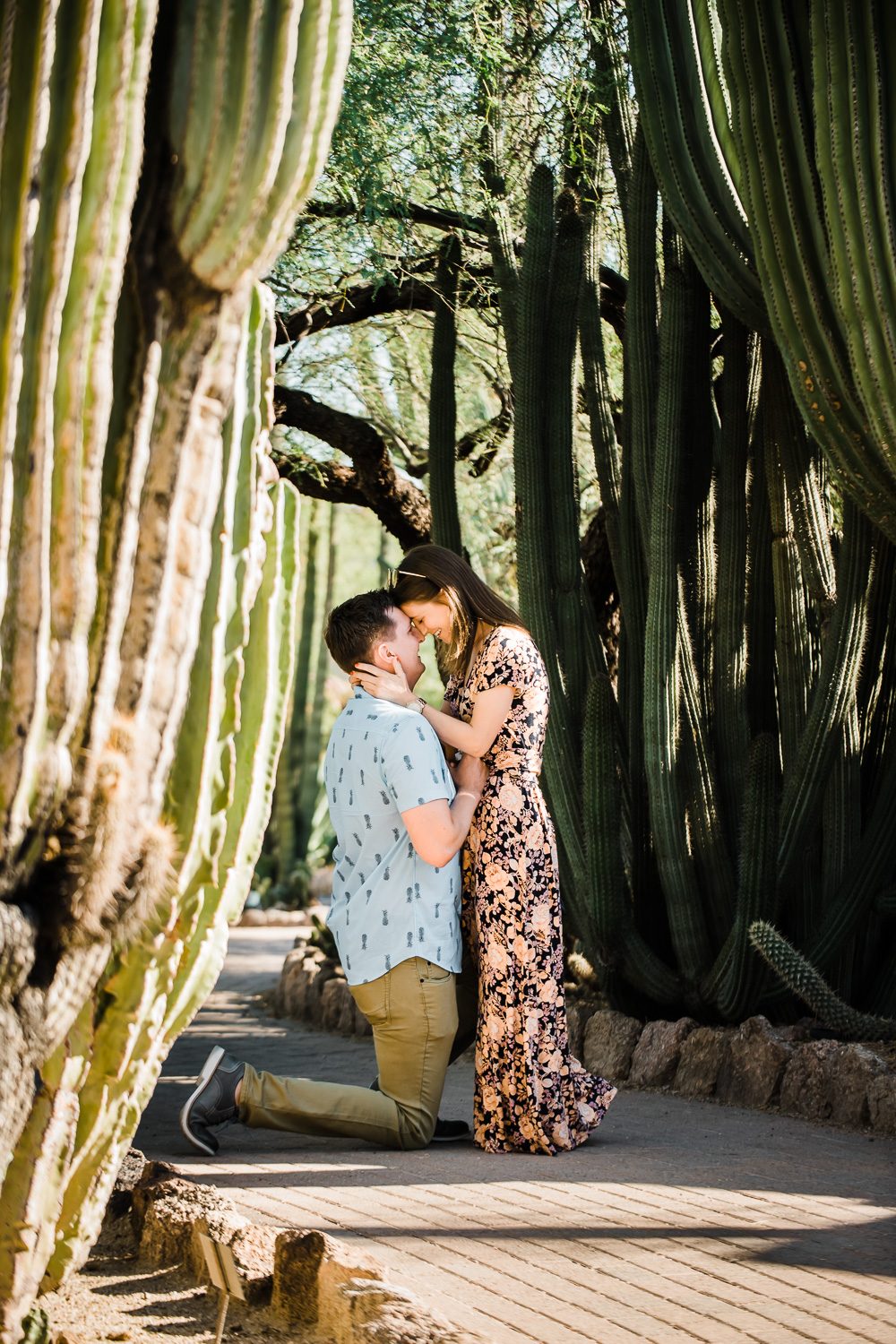 Surprise wedding proposal at Desert Botanical Gardens