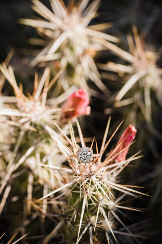 Desert Botanical Gardens Engagement Ring Photo